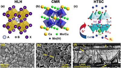 Perovskite Puzzle for Revolutionary Functional Materials